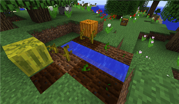 我的世界网易版截图14