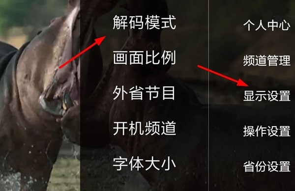 HDP直播app怎么看超清图片2