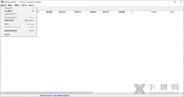 DNSQuerySniffer软件截图2