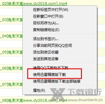 迅雷精简版免安装版图片7