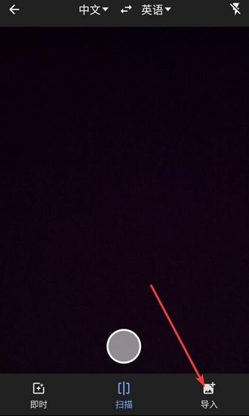 Google翻译手机版怎么翻译图片图片2