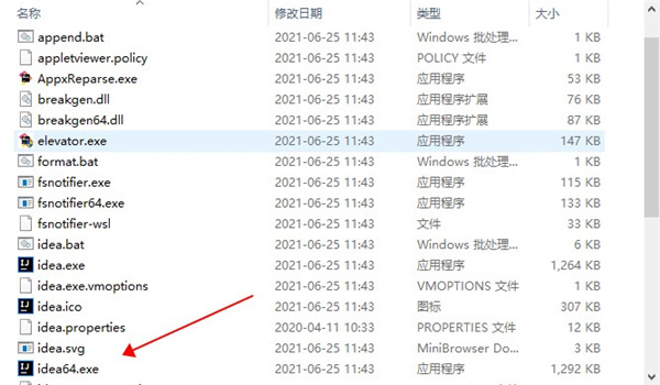 IntelliJIDEA2021破解版破解教程图片3