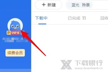 迅雷11图片4