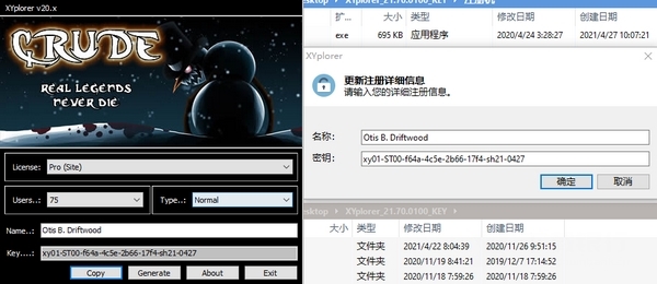 XYplorer破解版图片2