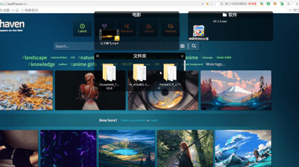 Fences4中文破解版图片13