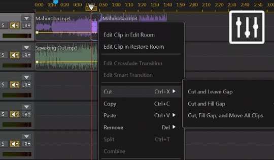 AudioDirector破解版图片16
