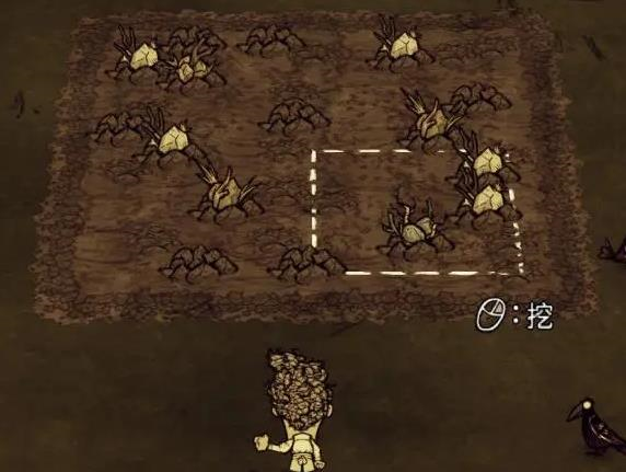 饥荒耕种攻略