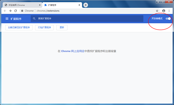 谷歌访问助手插件图片