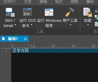 UltraEdit破解版内码怎么看汉字图片1