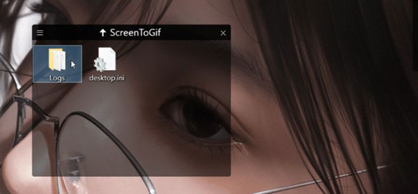 Fences4中文破解版图片12