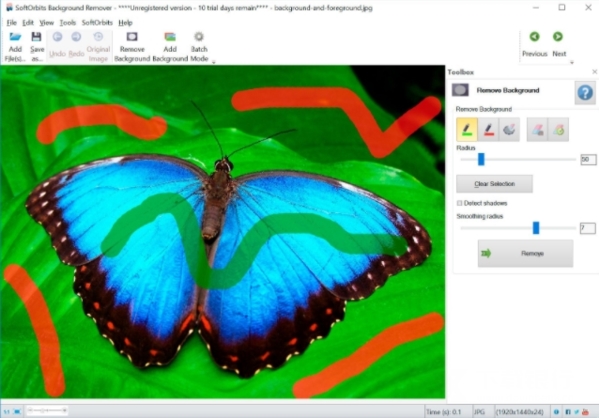 SoftorBitsBackgroundRemover图片4