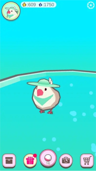 文鸟芭菲宠物宣传图