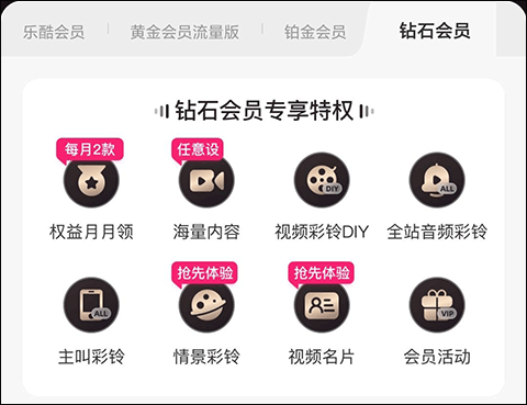 大会员特权配图4