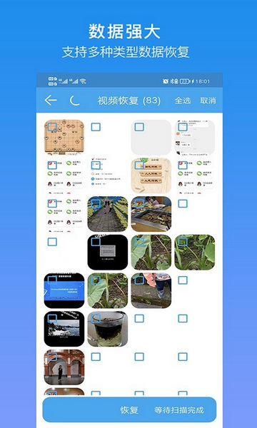 深度恢复大师图片