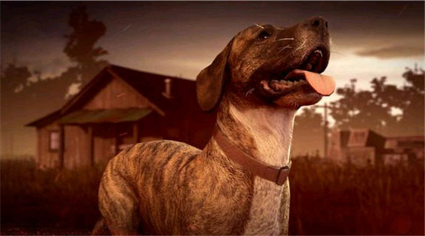 新手零氪入门指南配图4