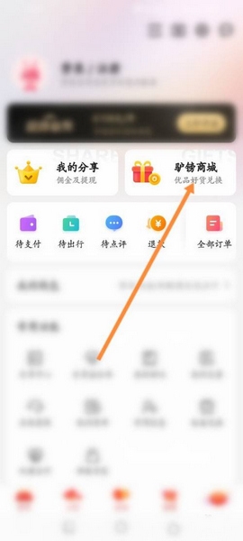驴妈妈旅游app驴磅明细查询教程图片1