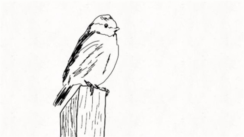 动画制作教程配图16