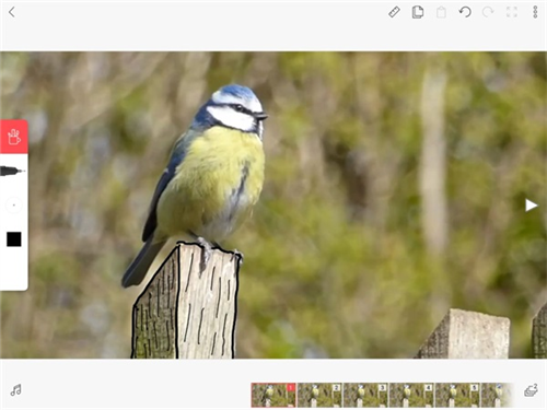 动画制作教程配图10