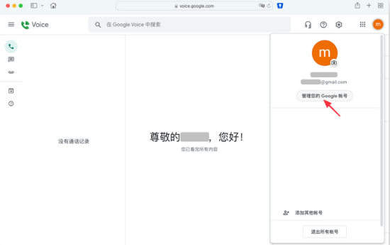 Google Voice图片3