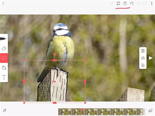 动画制作教程配图12