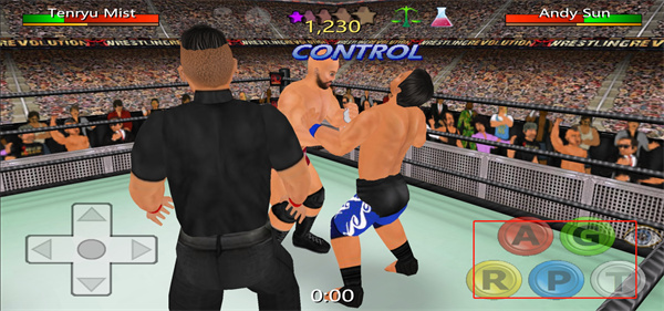摔跤革命3D图片5