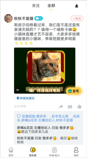 哈啰街猫使用教程图片7