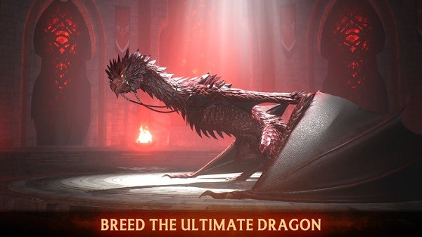 世纪灰烬纪元图片