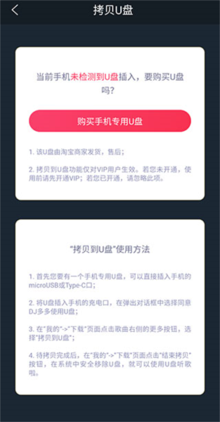 下载到u盘教程配图5