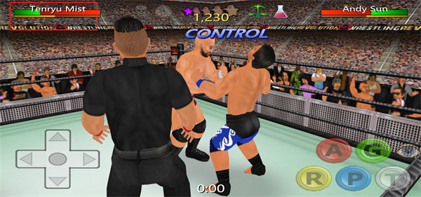 摔跤革命3D图片7
