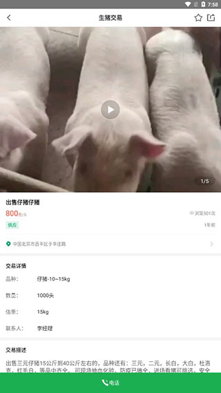 猪邦忙图片4