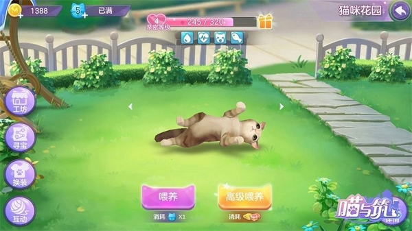 喵与筑猫咪装扮指南图片1