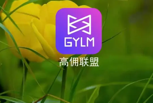 高佣联盟APP图片3