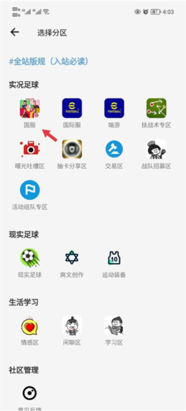 大众评球图片12