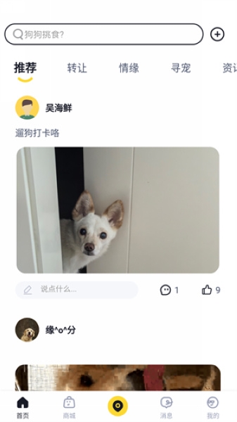 68宠物使用教程图片3