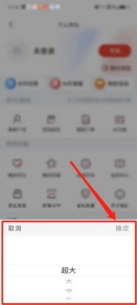 每日经济新闻app怎么设置超大字体3