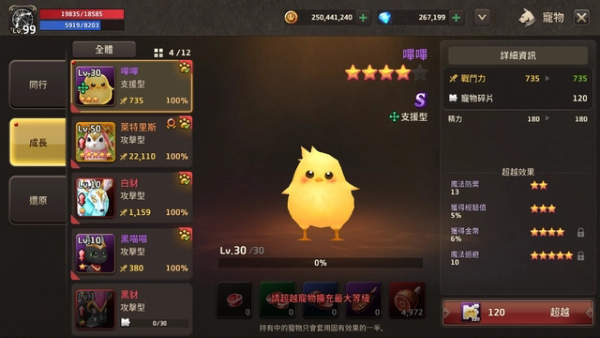 宠物系统介绍配图2