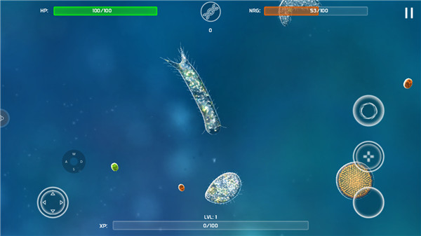 孢子模拟器新手攻略图片5