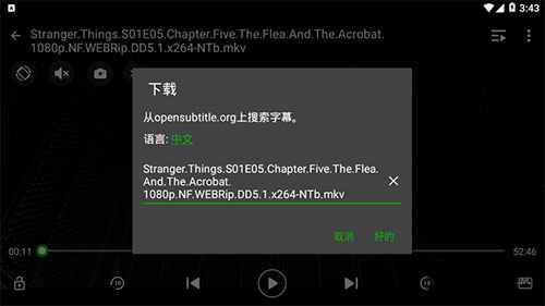 XPlayer图片3