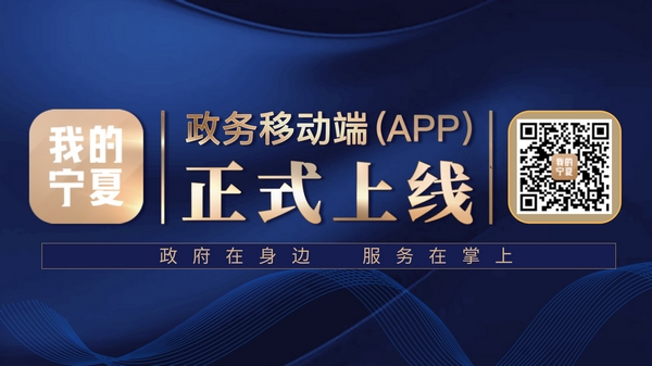 我的宁夏软件截图1