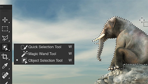 PS2021中文破解版图片12