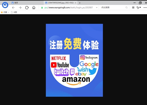 网行国际浏览器截图4