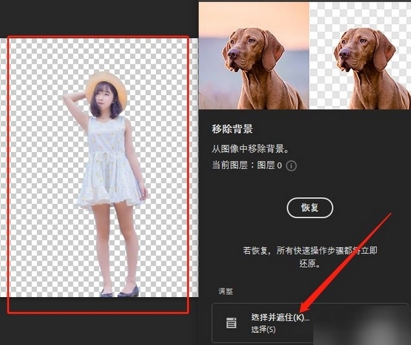 PS2021中文破解版图片22