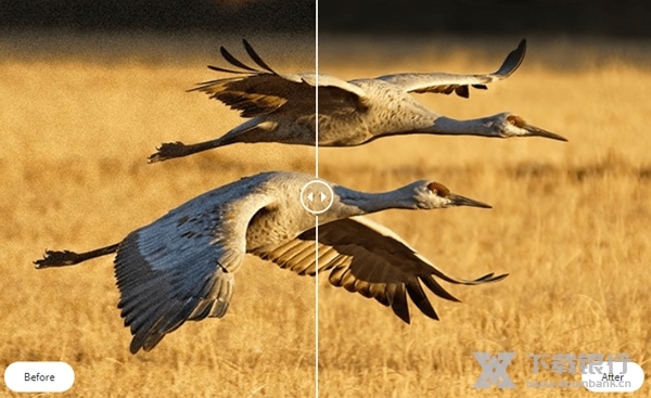 TopazDeNoiseAI破解版图片3