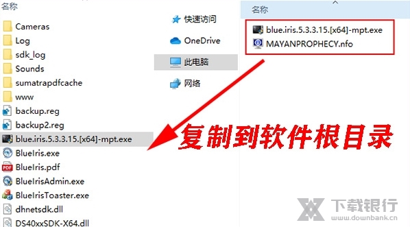 BlueIris破解版图片3