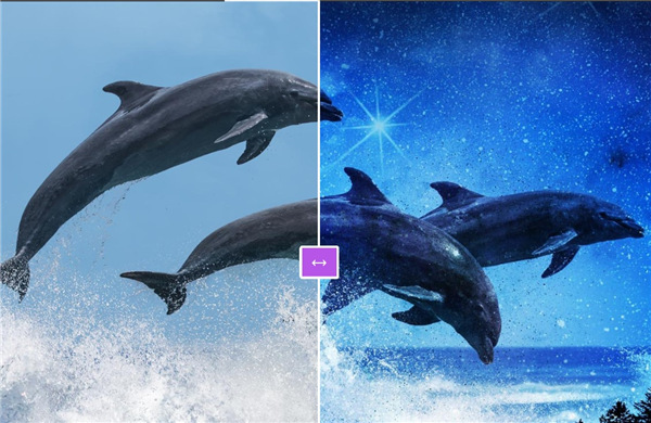 品尼高视频编辑软件破解版图片3