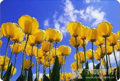 友锋图像处理系统调取选区教程图片19