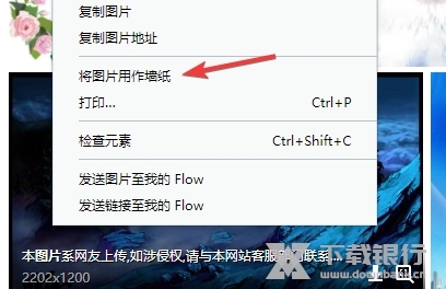 Opera开发者版本图片7