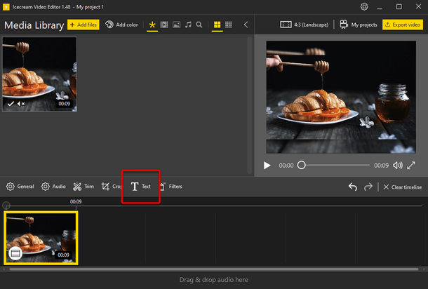 IcecreamVideoEditorPro破解版图片12
