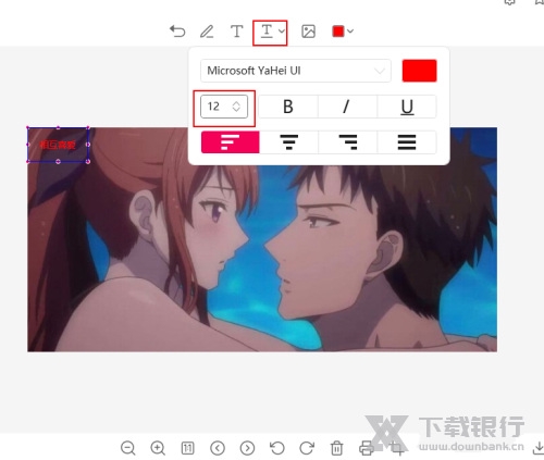 幂果看图王添加文字教程图片4