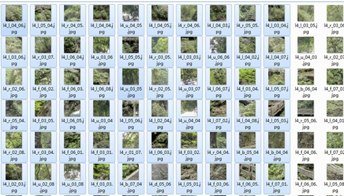 猪猪全景图下载器图片6